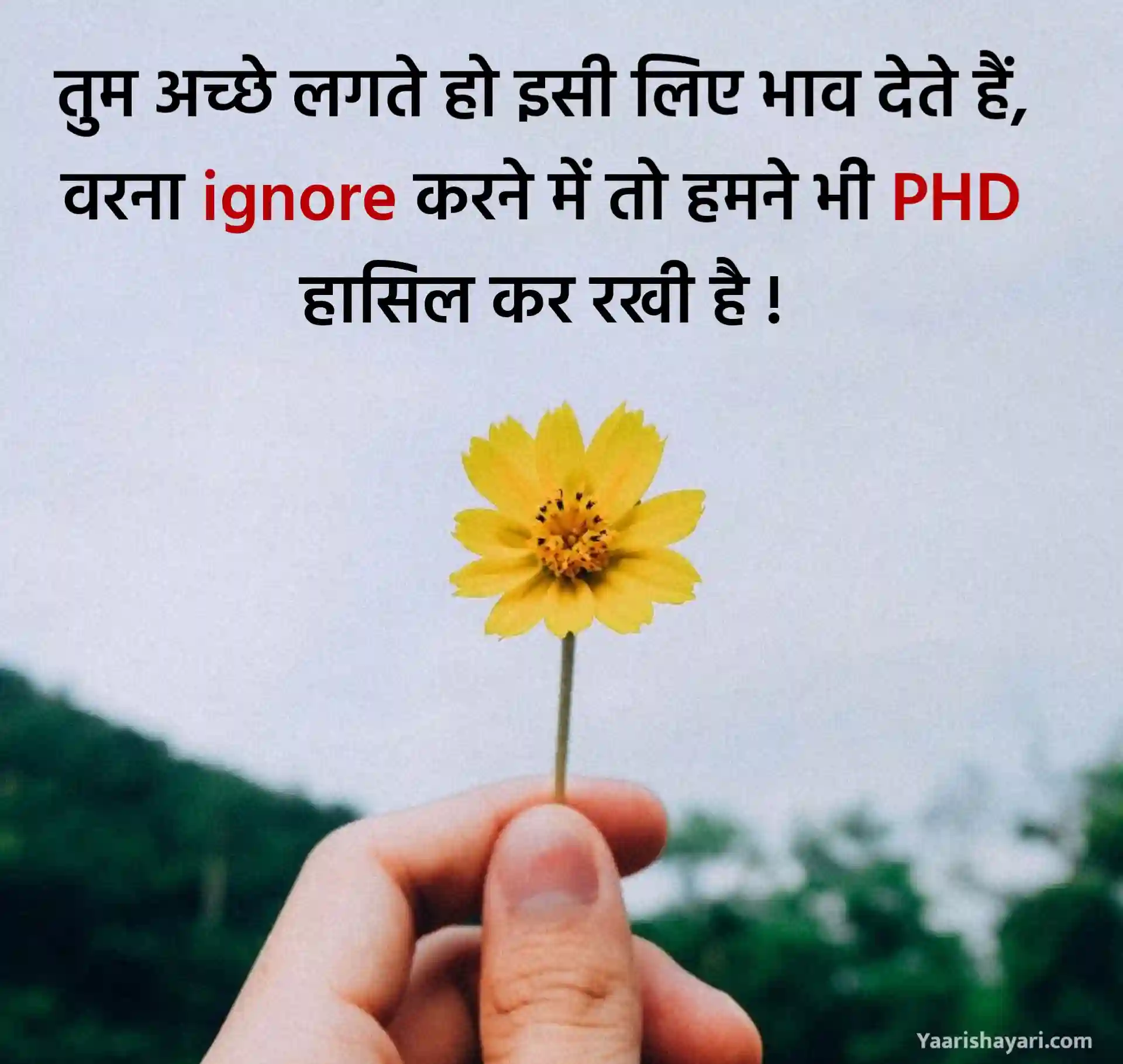 Hindi Ignore Shayari