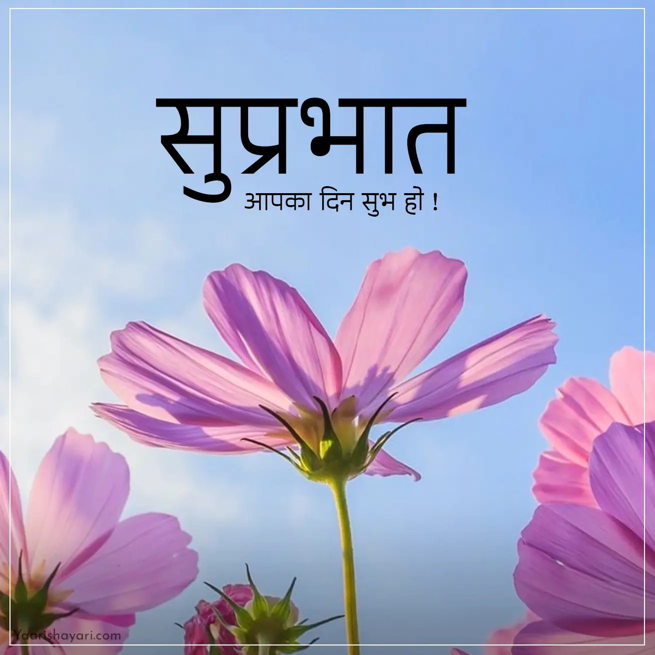 Good Morning Images in Hindi