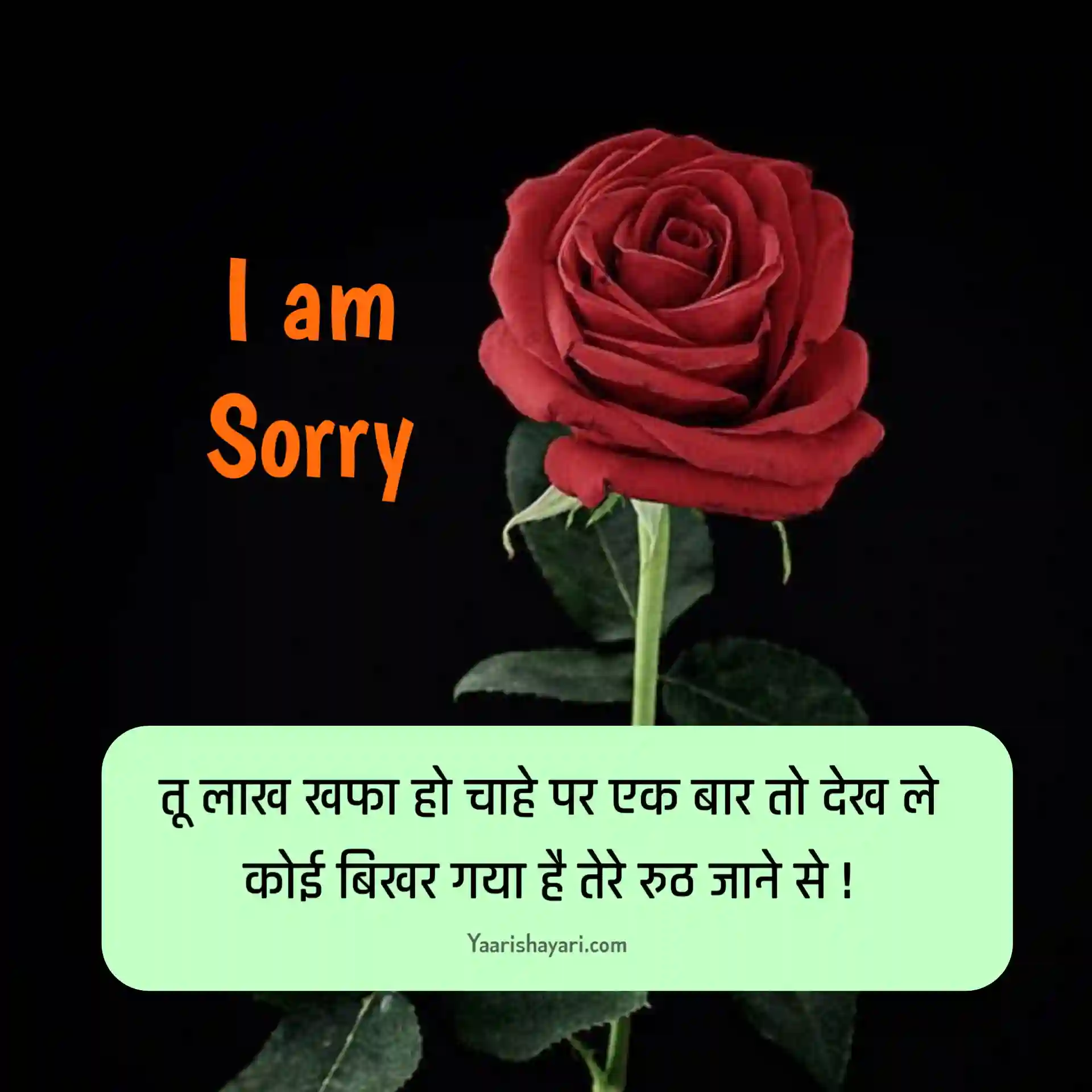 Sorry Shayari Hindi