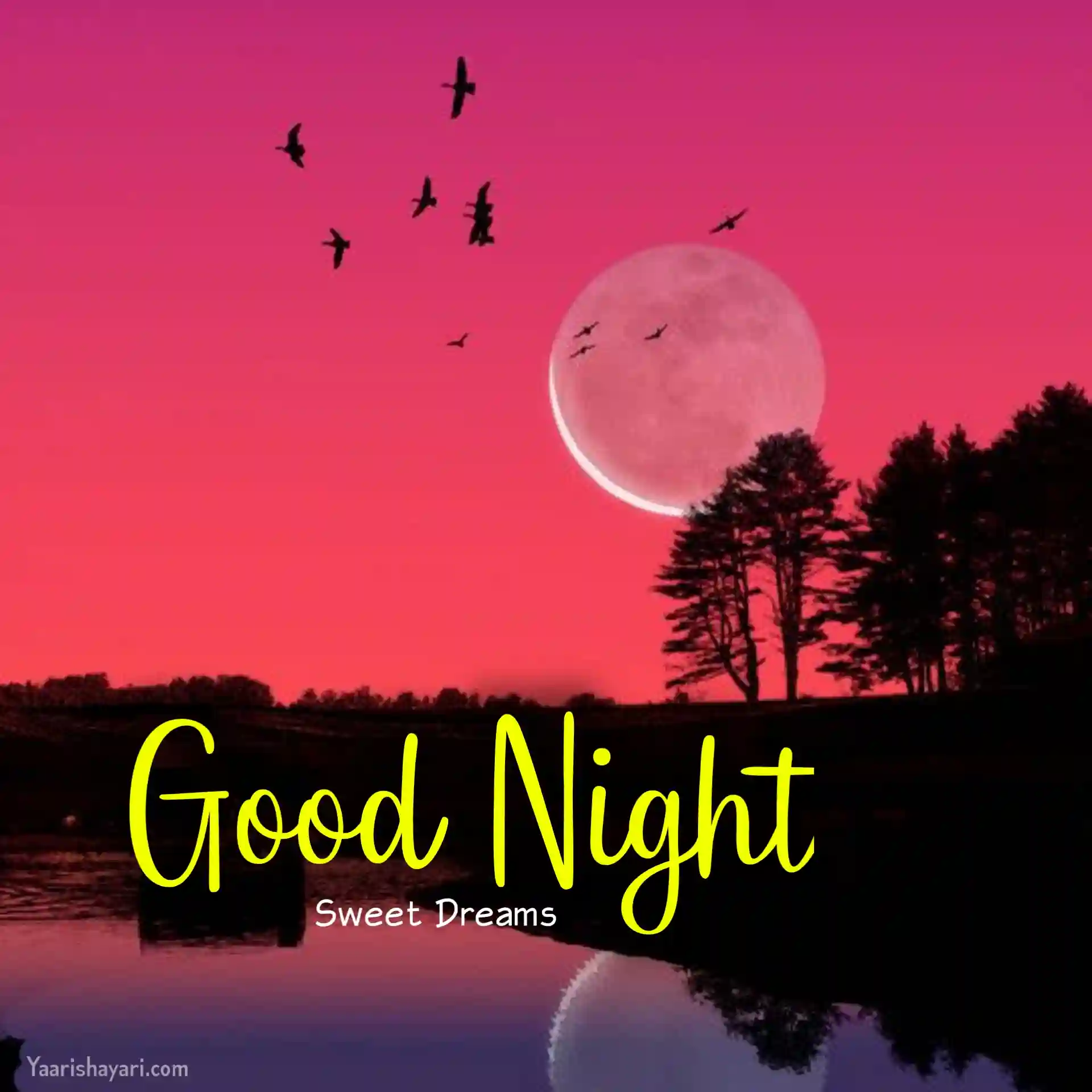 Beautiful Good Night Image