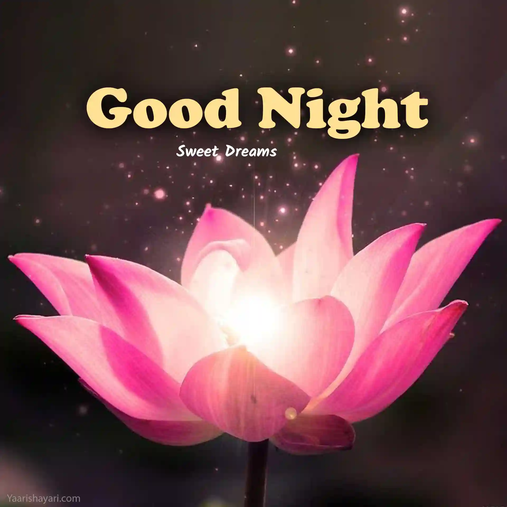 80 Beautiful Good Night Images Pictures HD Photos 80 Beautiful Good Night Images Pictures HD Photos