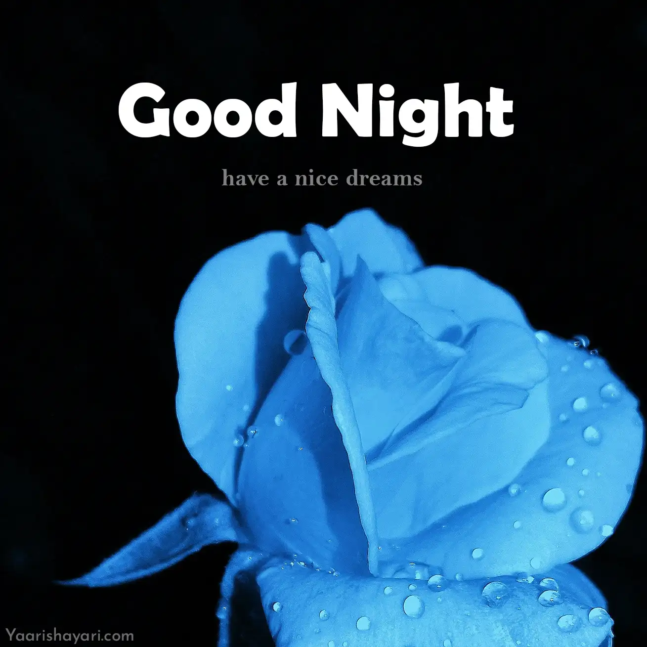 Good Night for Friends