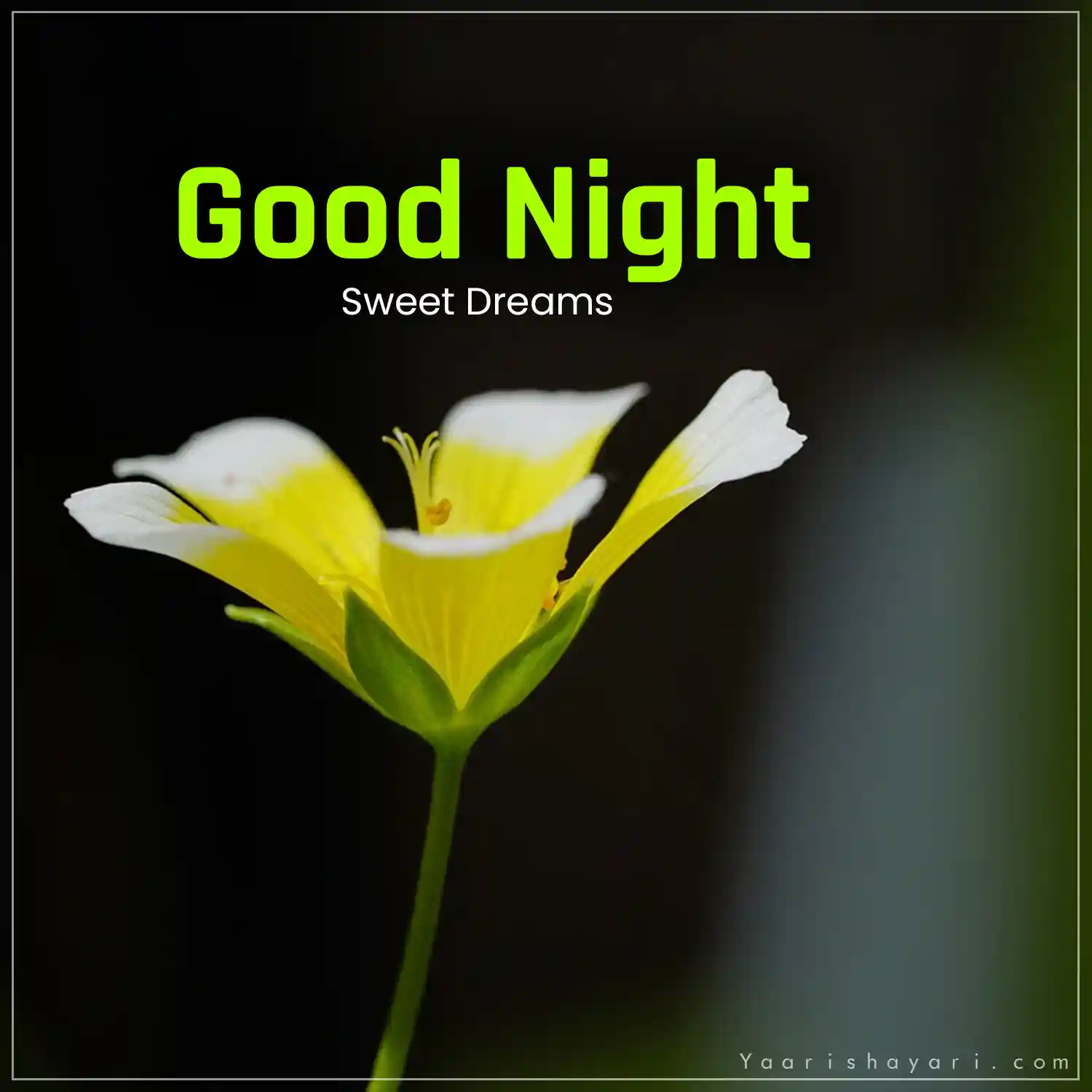 80 Beautiful Good Night Images Pictures HD Photos 80 Beautiful Good Night Images Pictures HD Photos