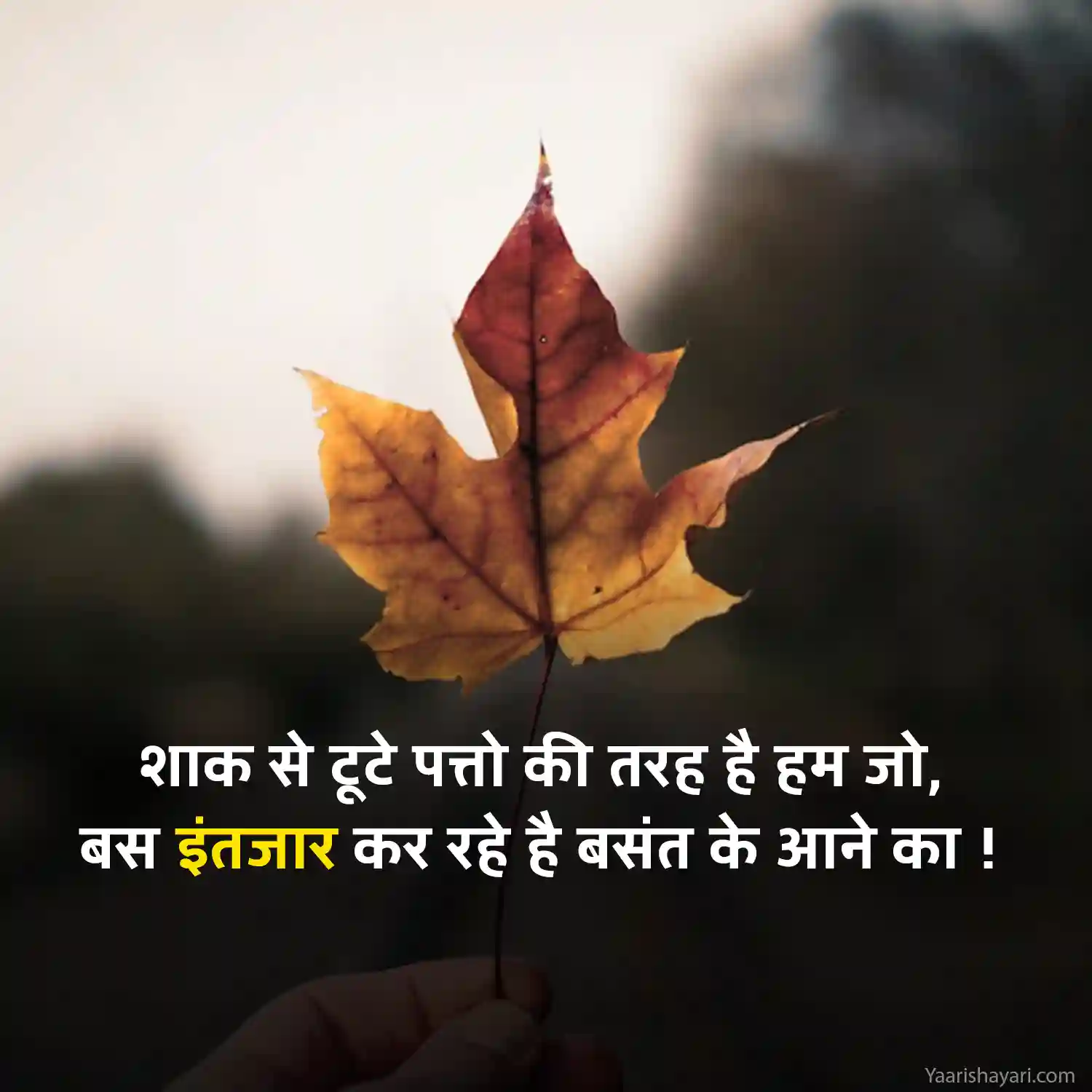 Shayari on Intezaar